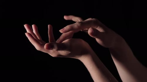 Female Hands Isolated