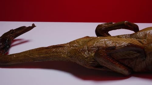 A full smoked duck on a white surface with a red background - SMOKED DUCK 003