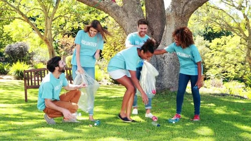 Group of volunteer collecting rubbish