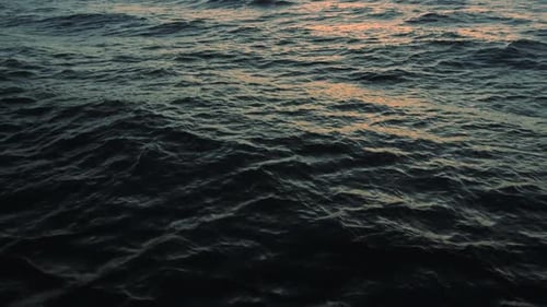 Ocean