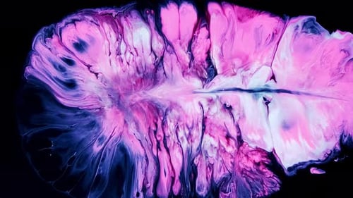 Abstract Fluid Motion with Pink, Blue and White Colors