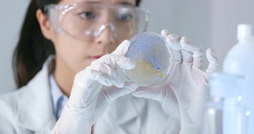 Woman Scientist Examines Petri Dish in Laboratory