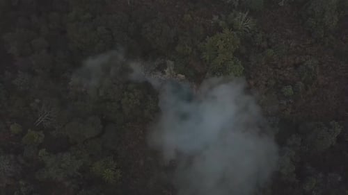 Piscina quente na floresta tropical