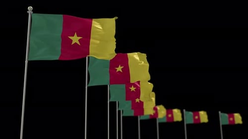 Seamless Loop Waving Cameroon Flags Animation