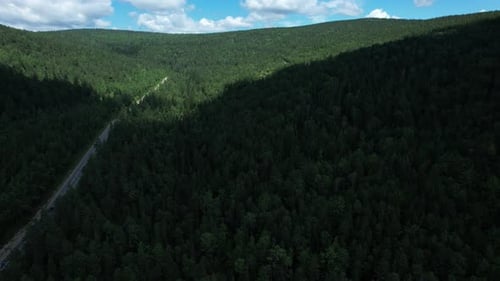 Winding Road in the West Siberian Taiga Ecoregion