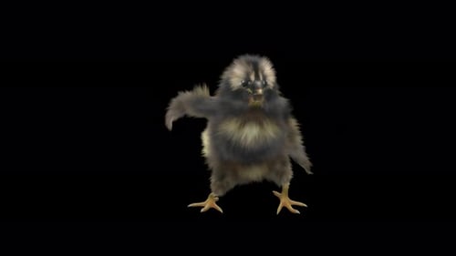 3D Animated Black Fluffy Chick Dancing Fun Animation