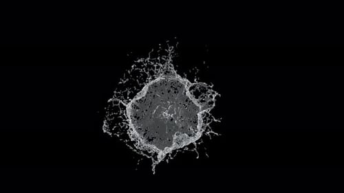 Dynamic Water Splash Realistic Fluid Animation