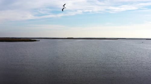 Open Water Scenic Landscape Aerial Shot