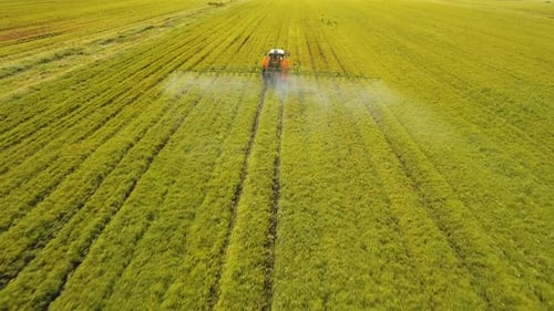 Tractor is Spraying Fertilizers Field