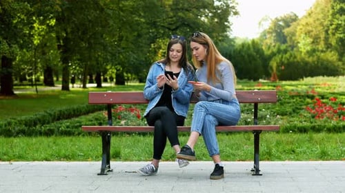 Two Women Violate Quarantine and Sitting on a Bench in Park and Using Mobile Phone