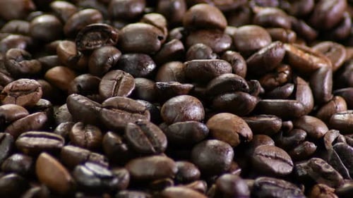 Close Up Shot of Pile of Coffee Beans