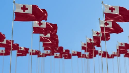 Waving Tonga Flags with Realistic Wind Animation on Blue Sky