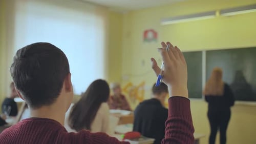High School Student Raises His Hand During the Lesson