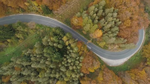 Road Junction in the Middle of the Autumn Colored Woods