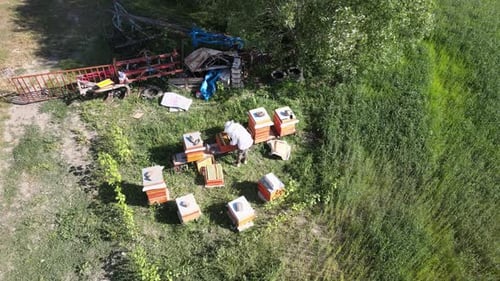 aerial Beekeeper With Bees