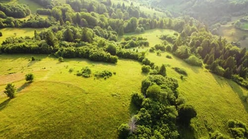 Aerial Drone View Flight Over Rural Area and Pine Tree Forest in Mountain at Sunset Sunny Weather