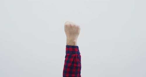 Clenched Fist Raised in Solidarity