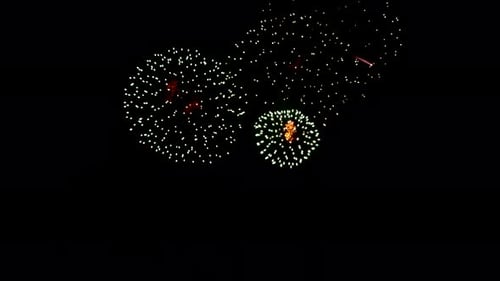 Fireworks Exploding at Night in a Colorful Display