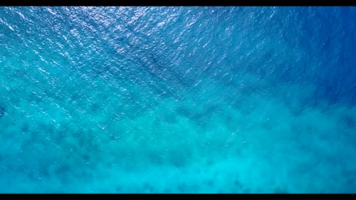 Aerial drone shot sky of paradise lagoon beach wildlife by blue green sea and white sand background