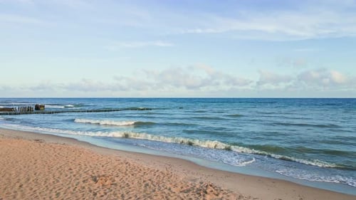 Aerial View of Sea Landscape with Waves and Sand Beach