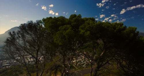 4k Drohne schoss über Bäume, um den Tafelberg Kapstadt Südafrika im Morgenlicht zu enthüllen.
