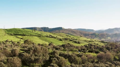 Italian Green Cultivated Hills
