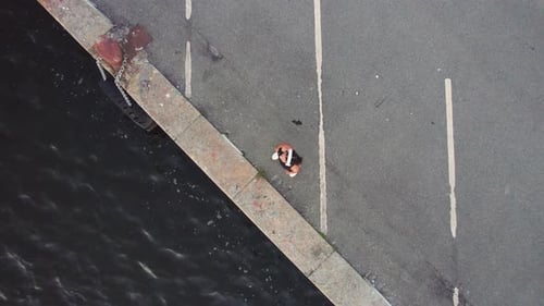 Drone Over Woman At Harbour's Edge