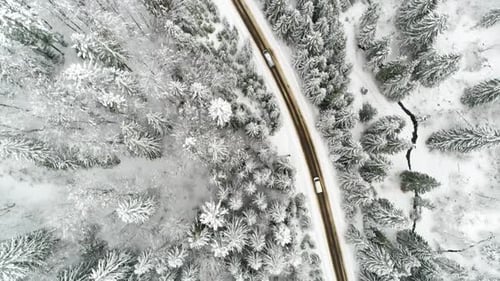 AERIAL: Car Driving Along the Forest Road in Winter