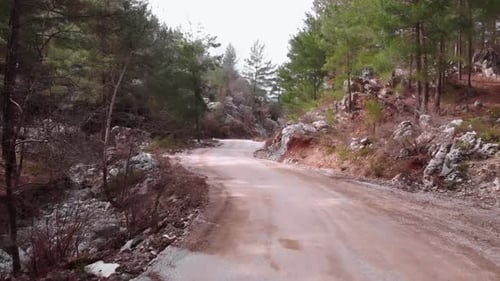Empty Mountain Road