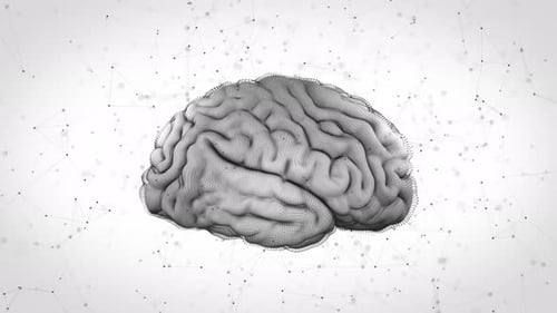 Digital Brain Rotation with Connecting Neural Network Animation