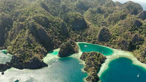 Tropical Island Busuanga, Palawan, Philippines.