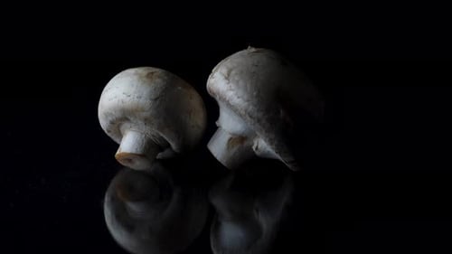 Mushrooms on Reflective Black Surface in Moody Lighting