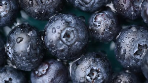 Blueberry Background