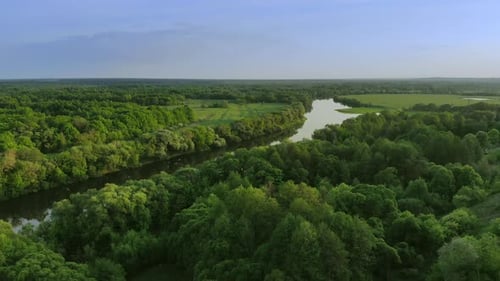 Aerial View of a Beautiful River Landscape in a Green Forest at Sunset