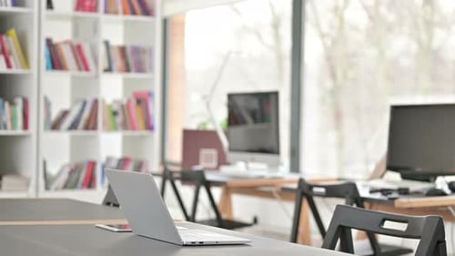 Young Adult Working at Laptop in Bright Office