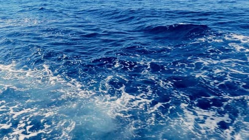 Sea (4K)
