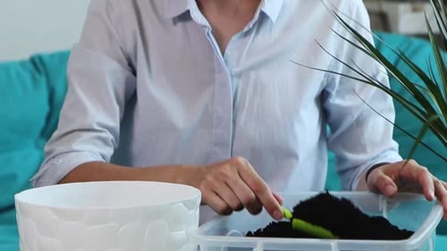 Adult Woman potting plant with soil indoors