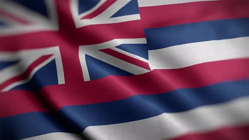 Hawaii Flag Waving Seamless Loop Animation