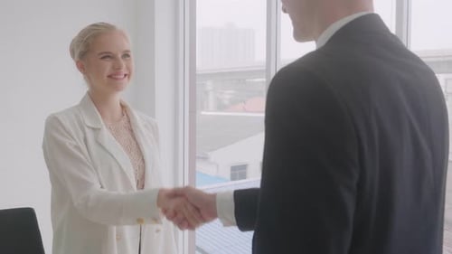 Businessman and businesswoman handshake with agreement in the office together for success.