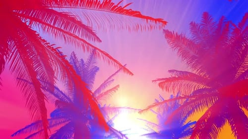 Palmbaum-Sommer-Hintergrund