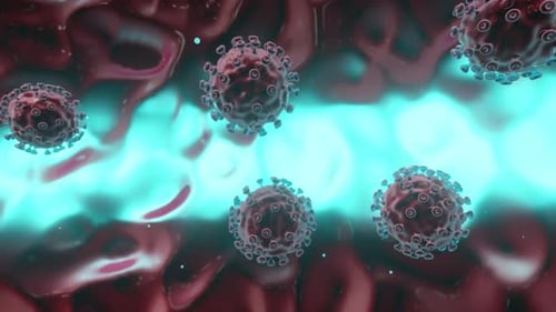Scientific 3D Animation of Floating Virus Particles in Bloodstream