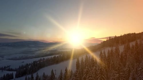 Flight Over Mountains Covered with Spruce and Pine Forest Under Snow at Sunrise, New Winter Day