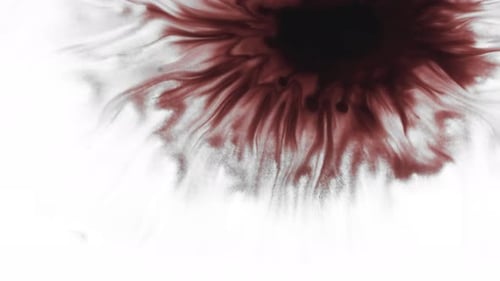 Burgundy Ink Bloom on White Abstract Background