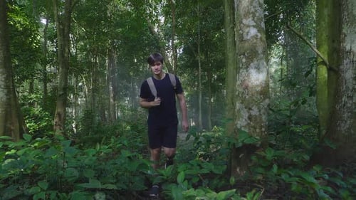 Man Trekking In Forest