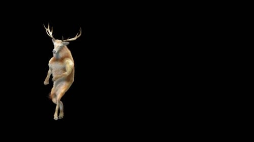 Funny 3D Animated Dancing Deer Character