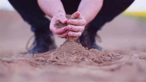 Landwirt untersucht organischen Boden in Händen, Landwirt berührt Schmutz im landwirtschaftlichen Bereich