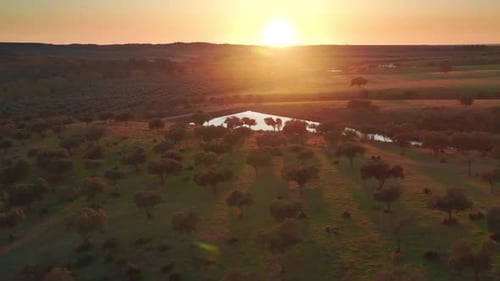Scenic Sunrise over Rural Landscape with Pond