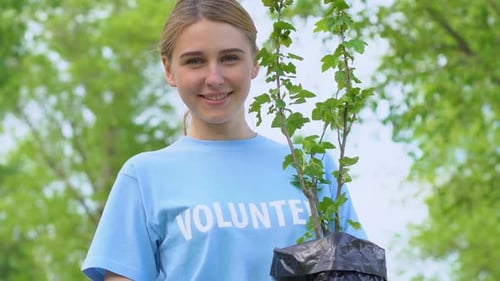 Mujer rubia alegre sosteniendo un árbol joven sonriendo en la cámara en el parque, Eco Voluntario