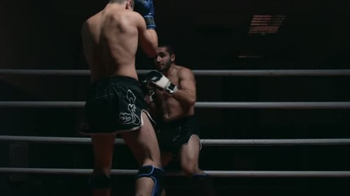 Lucha dura de MMA