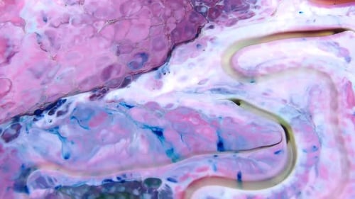 Abstract Swirling Pink, Blue, and White Paint